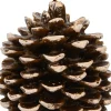 Intratuin Anna's Collection LED Stumpenkerze Podo Tannenzapfen braun D 12 H 10 cm| Led Kerzen