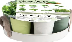 Intratuin Anzucht-Set Küchenkräuter inkl. Tablett und Töpfchen| Gemüsesamen|Saatgut