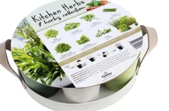 Intratuin Anzucht-Set Küchenkräuter inkl. Tablett und Töpfchen| Gemüsesamen|Saatgut