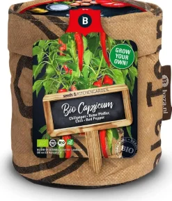 Intratuin Baza Anzuchtset Chili (Solanum annuum)| Gemüsesamen|Saatgut