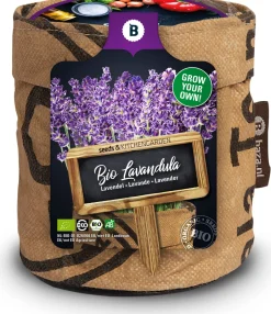Intratuin Baza Mini-Garten Bio-Lavendel (Lavandula)| Saatgut