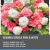 Intratuin Begonia (Begonia) Blumenzwiebeln doppelblütig rosa weiß 6 St.| Sommer-Blüher|Blumenzwiebeln
