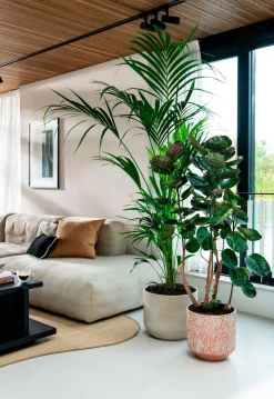 Intratuin Bela Arte Blumentopf Belem braun D 17 H 16 cm| Blumentöpfe & Pflanzgefäße|Blumentöpfe