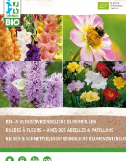 Intratuin Bio-Blumenzwiebeln für Bienen und Schmetterlinge 25 St.| Sommer-Blüher|Blumenzwiebeln