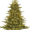 Intratuin Black Box Künstlicher Weihnachtsbaum Grand Fir mit 550 LEDs warmweiß D 152 H 215 cm| Künstliche Weihnachtsbäume
