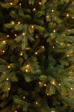 Intratuin Black Box Künstlicher Weihnachtsbaum Grand Fir mit 550 LEDs warmweiß D 152 H 215 cm| Künstliche Weihnachtsbäume
