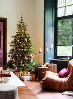 Intratuin Black Box Künstlicher Weihnachtsbaum Grand Fir mit 550 LEDs warmweiß D 152 H 215 cm| Künstliche Weihnachtsbäume