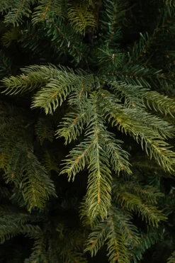 Intratuin Black Box Künstlicher Weihnachtsbaum Grand Fir D 152 H 215 cm| Künstliche Weihnachtsbäume