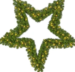 Intratuin Black Box Weihnachtsstern beleuchtet D 91 cm grün mit 72 LEDs warmweiß| Weihnachtssterne