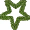 Intratuin Black Box Weihnachtsstern D 91 cm grün| Weihnachtssterne