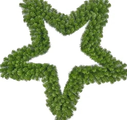 Intratuin Black Box Weihnachtsstern D 91 cm grün| Weihnachtssterne