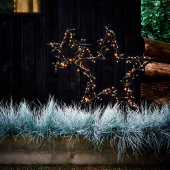 Intratuin Blauschwingel (Festuca glauca 'Intense Blue') D 17 H 35 cm| Immergrüne Pflanzen|Mehrjährige Pflanzen