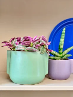 Intratuin Blumentopf Modern grün D 10,3 H 13 cm| Blumentöpfe & Pflanzgefäße|Blumentöpfe