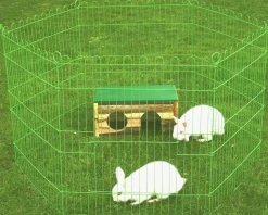 Intratuin Boon Kaninchengehege 6 Panele grün 60 x 67 cm| Kaninchengehege