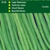 Intratuin Buschbohnen (Phaseolus vulgaris 'Sonate') Samen| Gemüsesamen|Saatgut