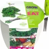 Intratuin Buzzy® Anzucht-Set Petersilie Kräutertopf mit Schere "Grow, Cut & Eat"| Anzucht-Zubehör|Kräutersamen