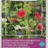 Intratuin Buzzy® Friendly Flowers Blumen für Marienkäfer Samen-Mischung für 25 m²| Saatgut|Blühende Pflanzen