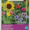 Intratuin Buzzy® Friendly Flowers Sommerblumen Blumen Samen-Mischung für 25 m²| Blühende Pflanzen|Saatgut