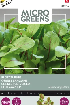 Intratuin Buzzy® Microgreens Blut-Ampfer (Rumex sanguineus) Sprossen (BIO) Samen| Gemüsesamen|Saatgut