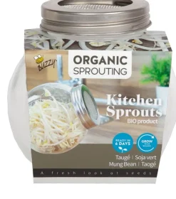 Intratuin Buzzy® Mungbohnen Sprossen (Vigna radiata) Organic Sprouting Kresse-Anzuchtset| Gemüsesamen|Anzuchtkästen & Mini-Gewächshäuser