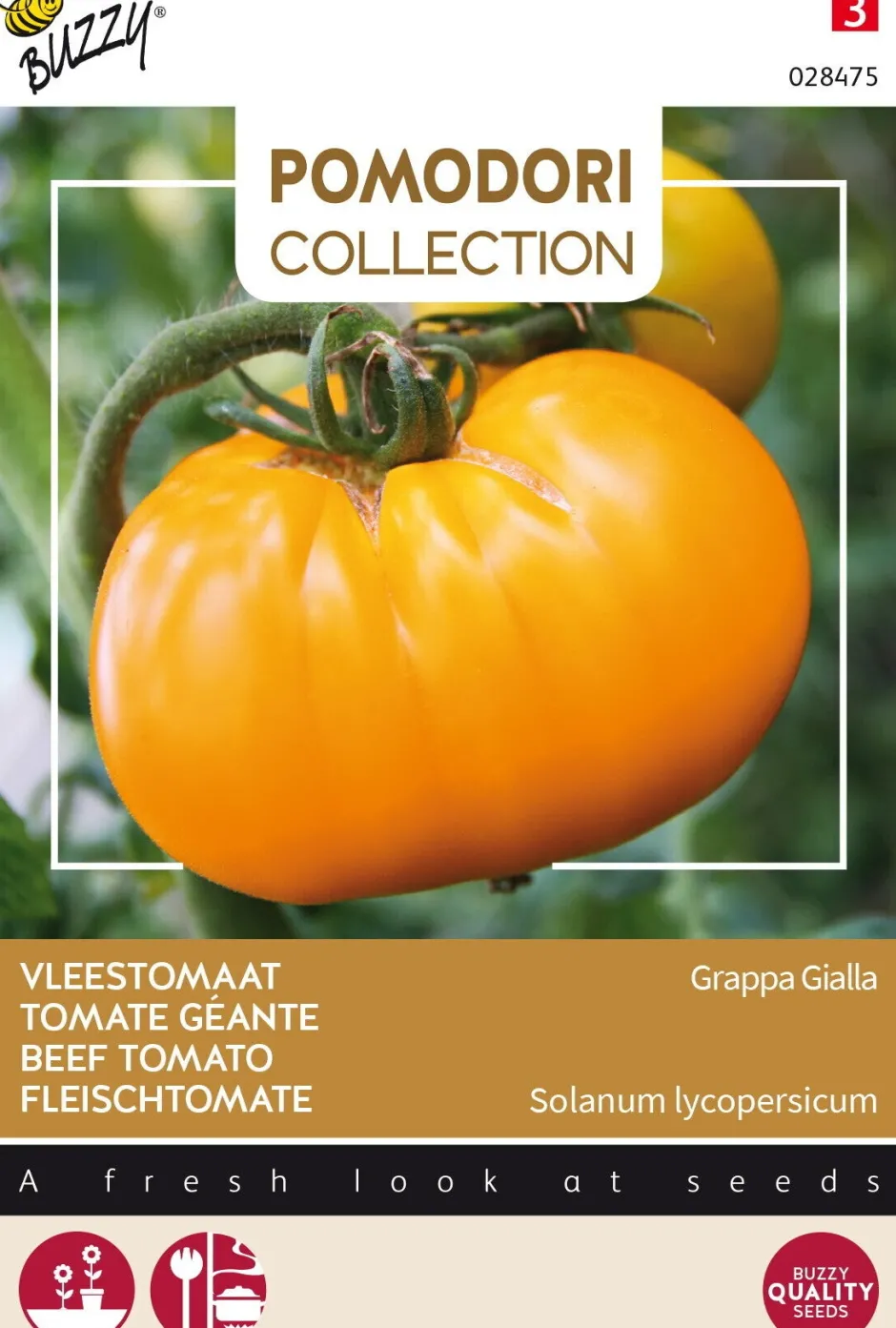 Intratuin Buzzy® Pomodori Fleischtomate gelb (Solanum lycopersicum 'Grappa Gialla') Samen| Gemüsesamen|Saatgut