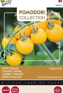 Intratuin Buzzy® Pomodori Kirschtomate gelb (Solanum lycopersicum 'Ciliegia Gialla') Samen| Gemüsesamen|Saatgut