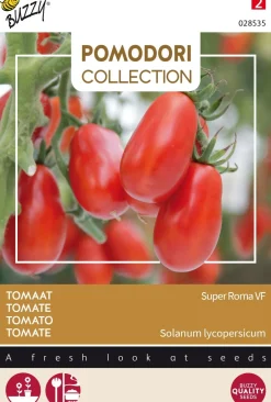 Intratuin Buzzy® Pomodori Roma-Tomate (Solanum lycopersicum 'Super Roma VF') Samen| Gemüsesamen|Saatgut