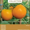 Intratuin Buzzy® Pomodori Tomate (Solanum lycopersicum 'Arancia') Samen| Gemüsesamen|Saatgut