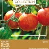 Intratuin Buzzy® Pomodori Tomate (Solanum lycopersicum 'Tigerella') Samen| Gemüsesamen|Saatgut