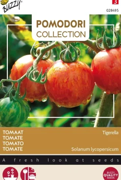 Intratuin Buzzy® Pomodori Tomate (Solanum lycopersicum 'Tigerella') Samen| Gemüsesamen|Saatgut