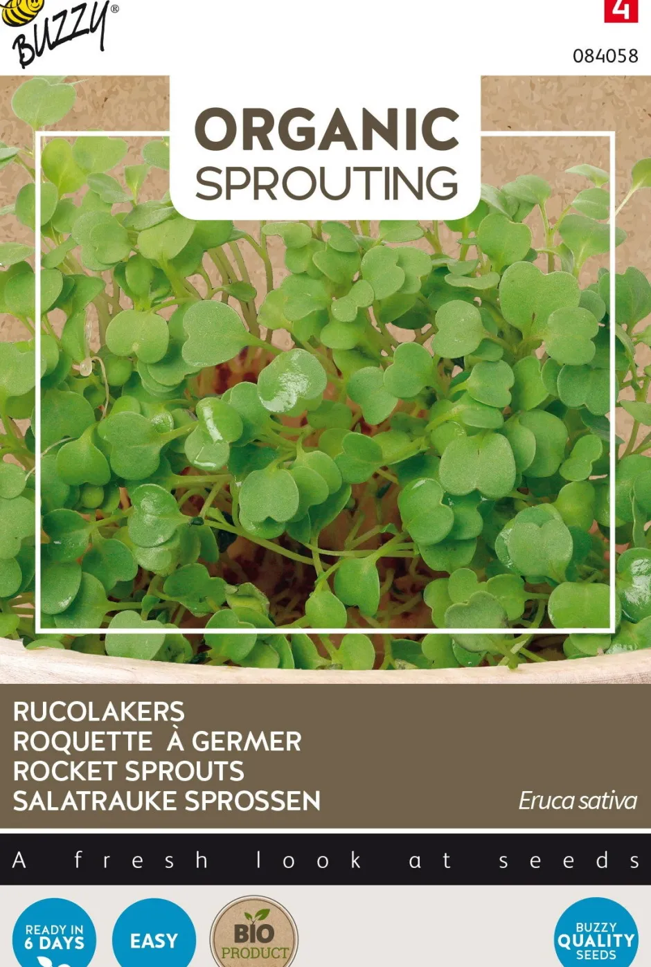 Intratuin Buzzy® Rucola Sprossen (Eruca vesicaria ssp. sativa) (BIO) Samen| Gemüsesamen|Saatgut