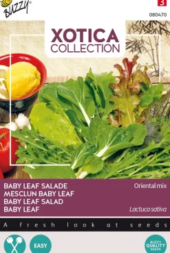 Intratuin Buzzy® Xotica Baby Leaf Salat (Lactuca sativa) Samen-Mischung| Gemüsesamen|Saatgut