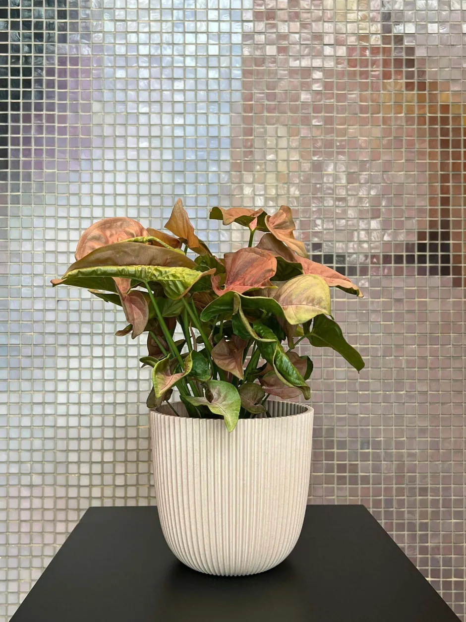 Intratuin Capi Europe Blumentopf Groove beige D 13 H 12 cm| Blumentöpfe & Pflanzgefäße|Blumentöpfe