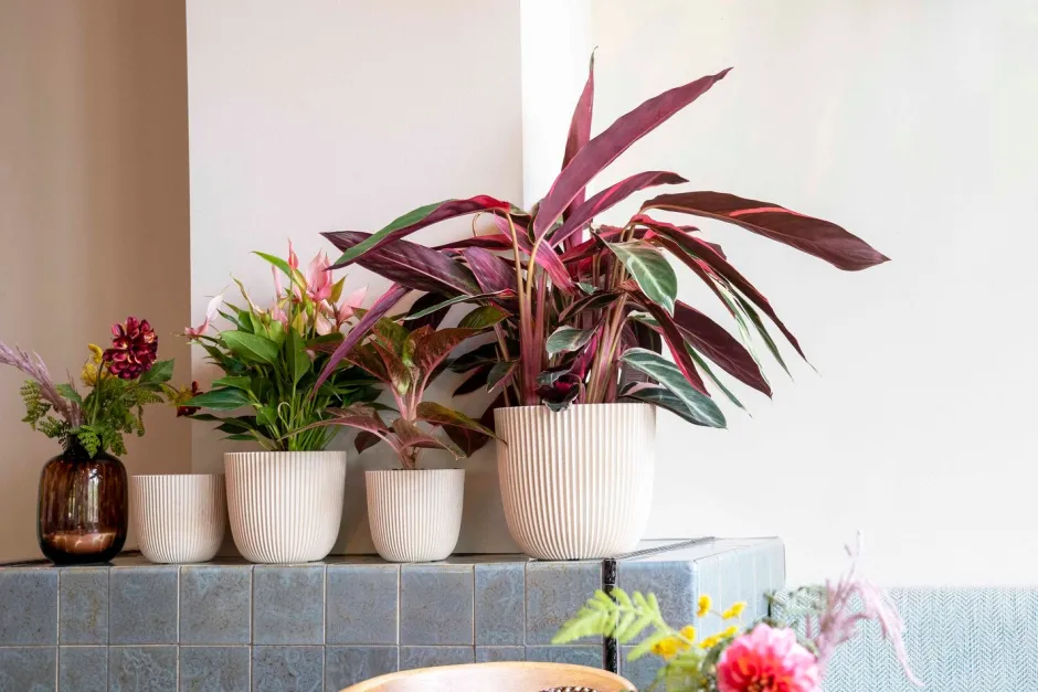 Intratuin Capi Europe Blumentopf Groove beige D 13 H 12 cm| Blumentöpfe & Pflanzgefäße|Blumentöpfe