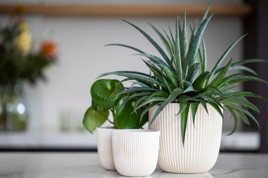 Intratuin Capi Europe Blumentopf Groove beige D 16,5 H 15 cm| Blumentöpfe & Pflanzgefäße|Blumentöpfe