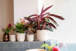 Intratuin Capi Europe Blumentopf Groove beige D 21,5 H 20 cm| Blumentöpfe & Pflanzgefäße|Blumentöpfe