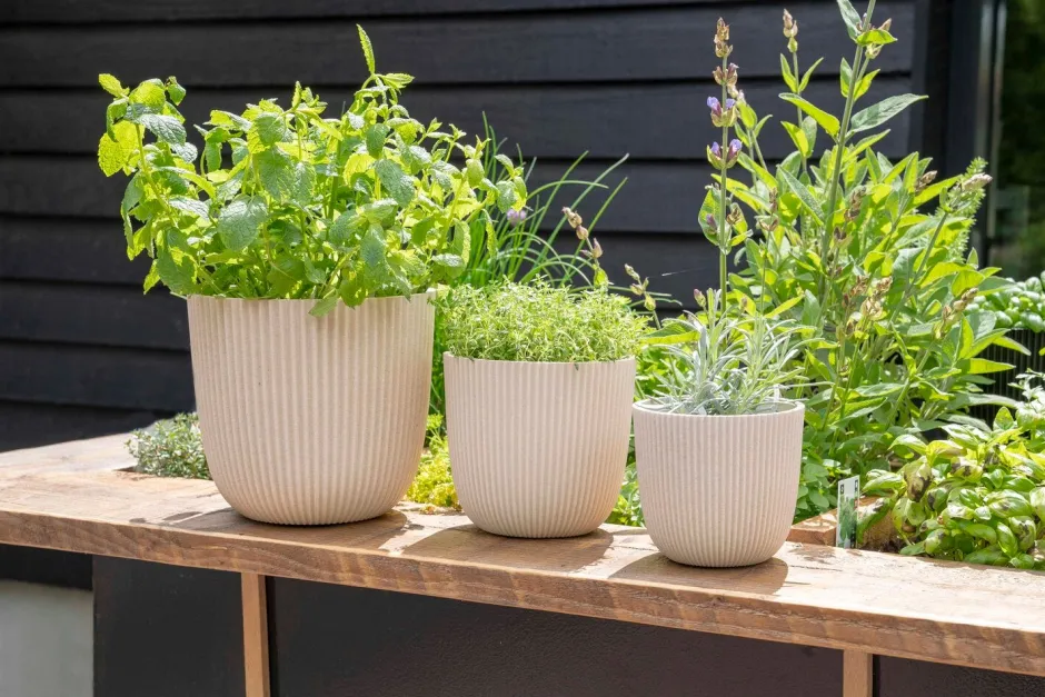 Intratuin Capi Europe Blumentopf Groove beige D 21,5 H 20 cm| Blumentöpfe & Pflanzgefäße|Blumentöpfe