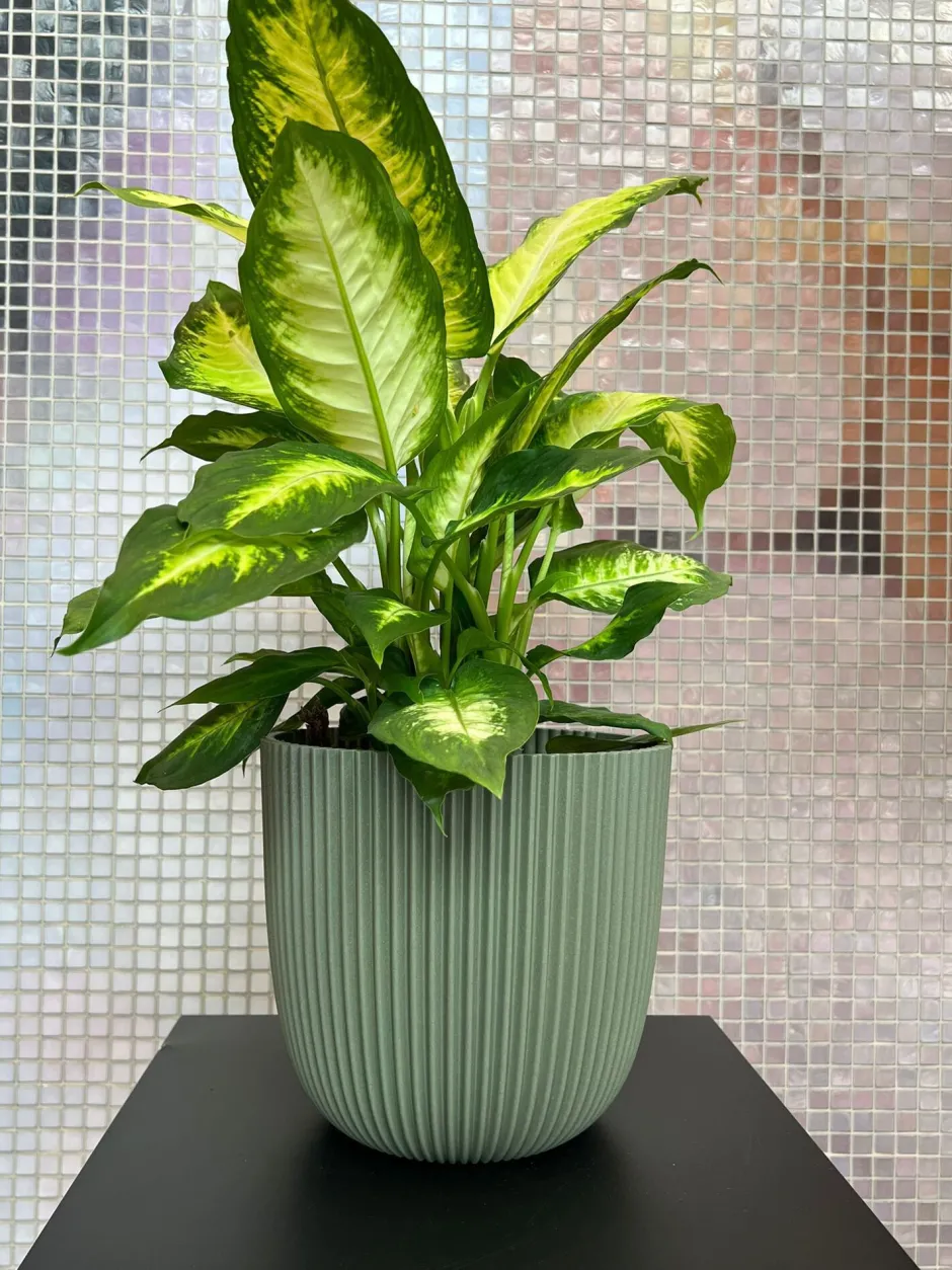 Intratuin Capi Europe Blumentopf Groove grün D 21,5 H 20 cm| Blumentöpfe & Pflanzgefäße|Blumentöpfe