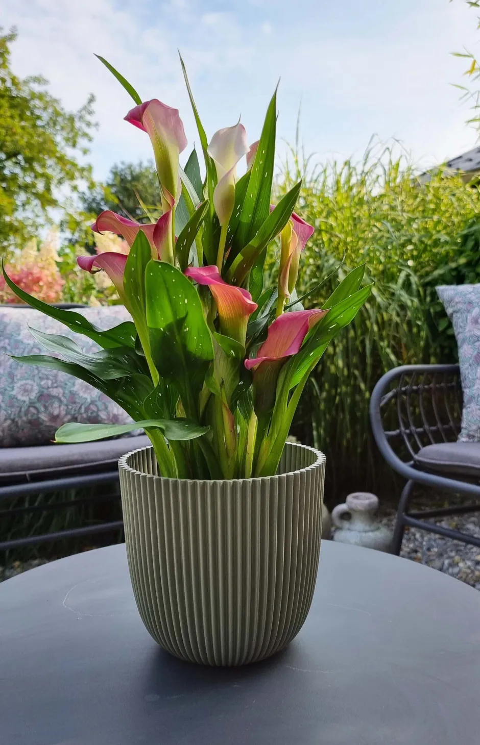 Intratuin Capi Europe Blumentopf Groove grün D 21,5 H 20 cm| Blumentöpfe & Pflanzgefäße|Blumentöpfe