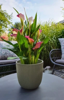 Intratuin Capi Europe Blumentopf Groove grün D 16,5 H 15 cm| Blumentöpfe & Pflanzgefäße|Blumentöpfe