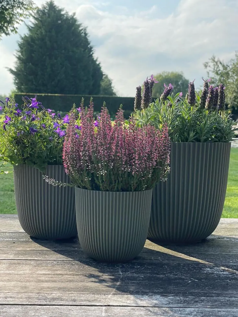 Intratuin Capi Europe Blumentopf Groove grün D 13 H 12 cm| Blumentöpfe|Blumentöpfe & Pflanzgefäße