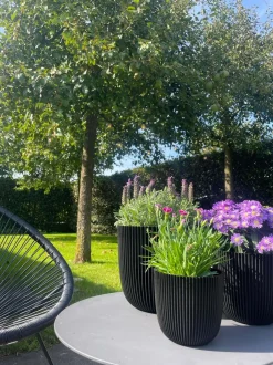 Intratuin Capi Europe Blumentopf Groove schwarz D 16,5 H 15 cm| Blumentöpfe|Blumentöpfe & Pflanzgefäße