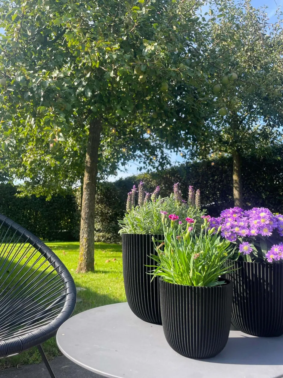 Intratuin Capi Europe Blumentopf Groove schwarz D 16,5 H 15 cm| Blumentöpfe|Blumentöpfe & Pflanzgefäße