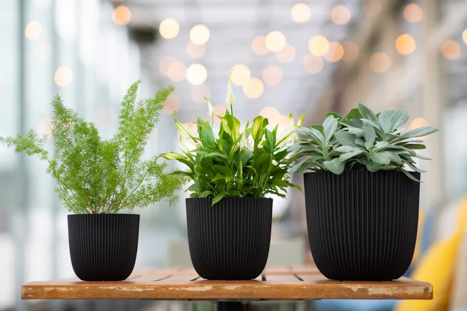 Intratuin Capi Europe Blumentopf Groove schwarz D 13 H 12 cm| Blumentöpfe|Blumentöpfe & Pflanzgefäße