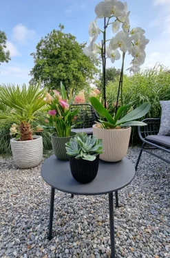 Intratuin Capi Europe Blumentopf Groove schwarz D 13 H 12 cm| Blumentöpfe|Blumentöpfe & Pflanzgefäße