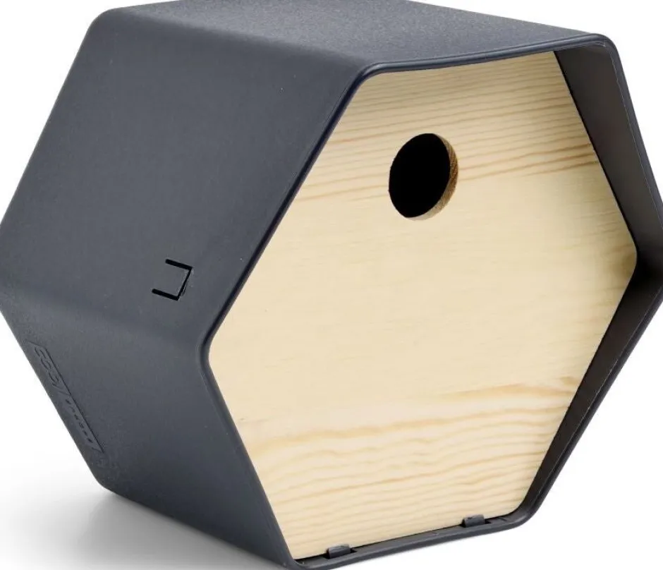 Intratuin Capi Europe Nistkasten Hive anthrazit 19 x 22 x 20 cm| Gartenvögel|Vogelhäuser & Nistkästen