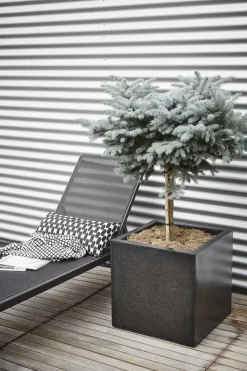 Intratuin Capi Lux Terrazzo Pflanzkübel quadratisch 40 x 40 x 40 cm schwarz| Blumentöpfe|Blumentöpfe & Pflanzgefäße