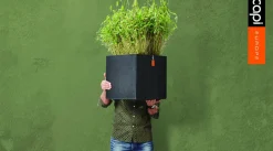 Intratuin Capi Lux Terrazzo Pflanzkübel quadratisch 20 x 20 x 20 cm schwarz| Blumentöpfe|Blumentöpfe & Pflanzgefäße