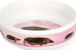 Intratuin CJ Wildlife Igelfutterschale Myrte weiß D 13 H 4 cm| Eichhörnchen- & Igelfutter