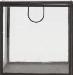 Intratuin Dijk Natural Collections Aufbewahrungsbox Glas schwarz 11 x 11 x 11 cm| Aufbewahrung
